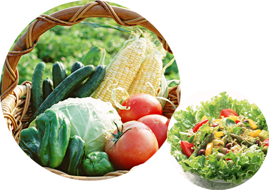 新鮮な高原野菜とサラダの写真